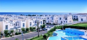 ماونتن فيو راس الحكمة